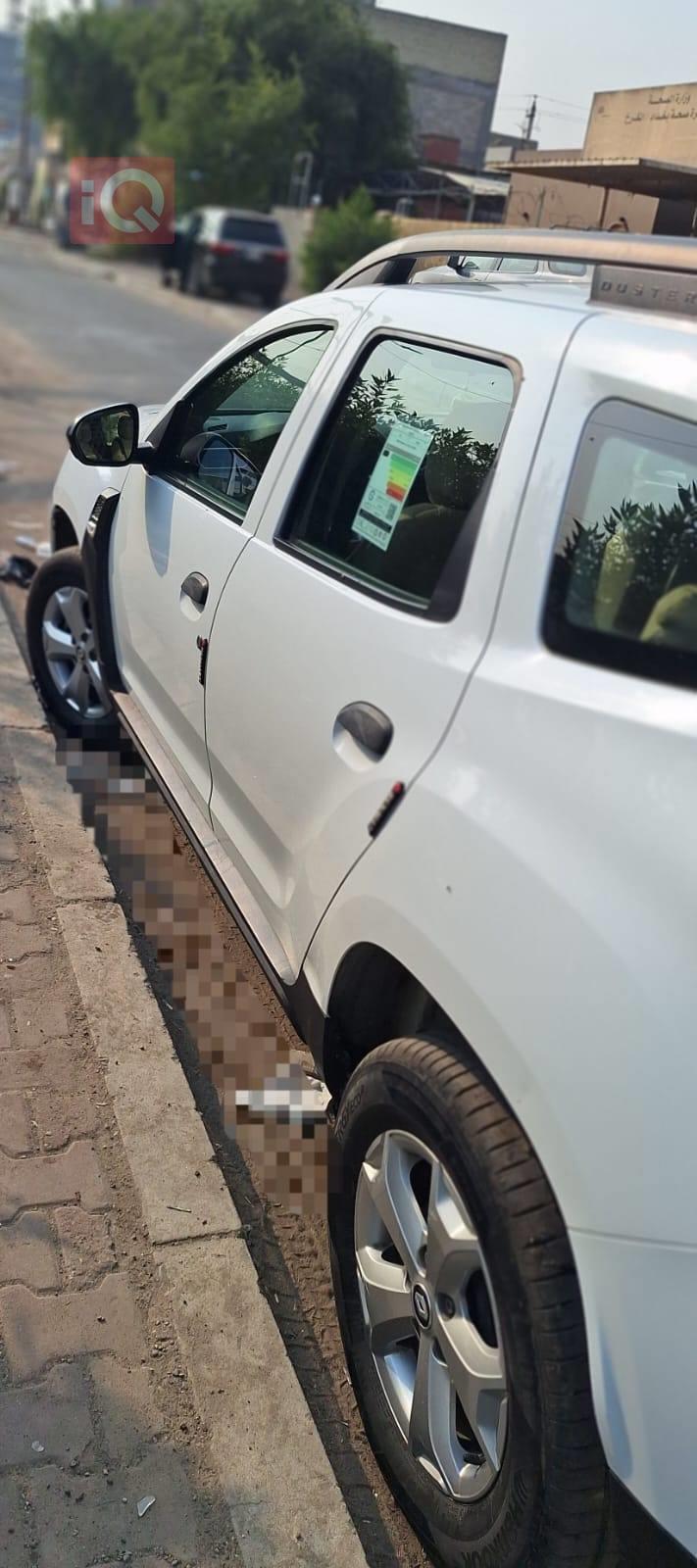 رینۆ داستەر